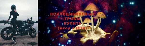 apvp Михайловск